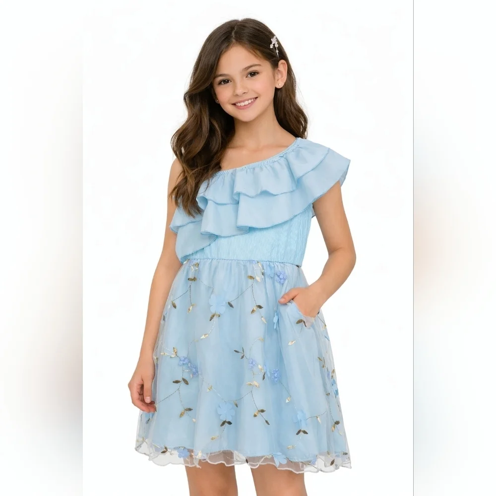 Girls Light Blue One Shoulder Ruffle Embroidered Mesh Dress 9Y